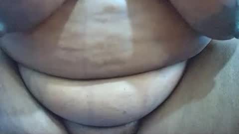 snowbell91 online show from December 5, 10:55 am