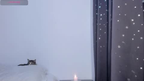 Sofi online show from October 26, 2:18 am