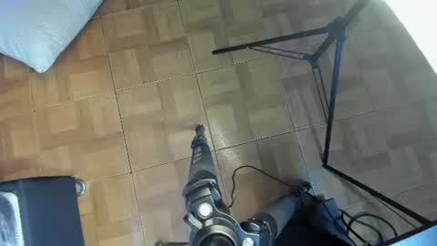 sofii_wild online show from July 16, 12:32 pm