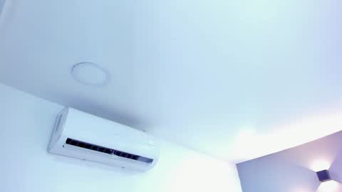 Sofi online show from February 7, 12:17 pm