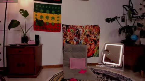 Snapshot of stellart_ chatting on January 22, 2:37 am stellart_ online show from January 22, 2:37 am