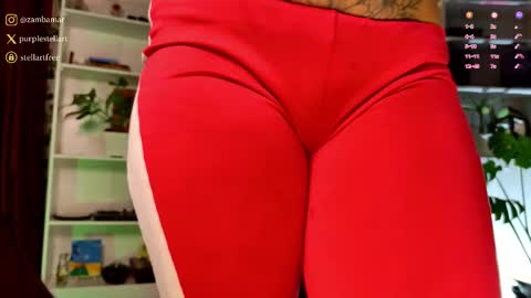 stellart_ online show from February 19, 4:45 am