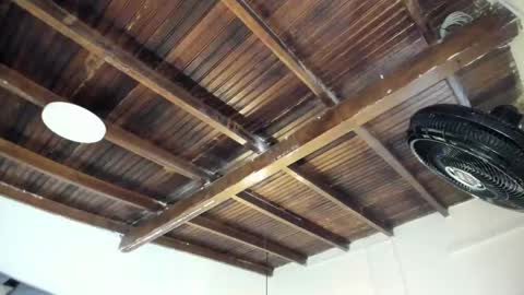 Alexa   online show from February 2, 10:58 am