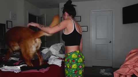 SV online show from November 15, 12:11 am