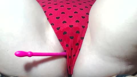 Kitten online show from April 2, 8:56 am