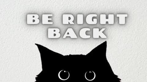       Independent model online show from January 14, 7:48 am