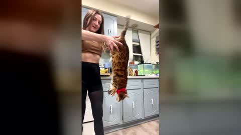 sweetlana23 online show from January 19, 3:25 am