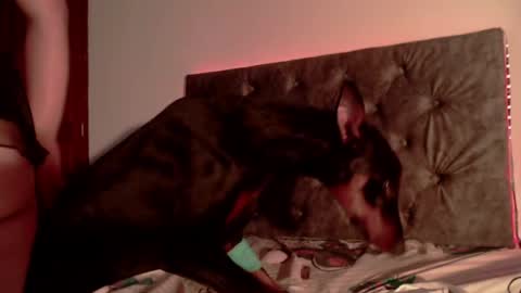 Sea online show from April 21, 2:51 am