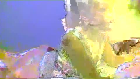 Snapshot of sweetvalk20 chatting on February 25, 2:25 am sweetvalk20 online show from February 25, 2:25 am