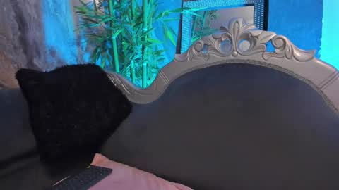 Sydney online show from February 7, 12:25 am