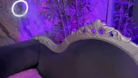 Sydney online show from April 1, 11:24 pm