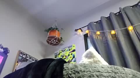 Taishabubblebutt online show from December 13, 6:05 pm