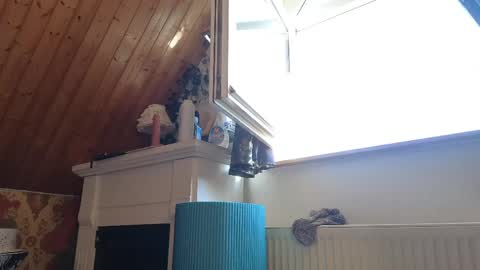 Tessa online show from April 26, 2:04 pm