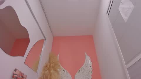 Lexxy online show from February 2, 11:53 am