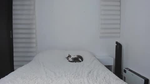 Snapshot of tigerbaby_ chatting on October 5, 11:54 pm Ana online show from October 5, 11:54 pm