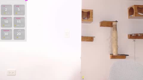    online show from February 26, 3:55 pm