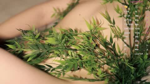 Toshi online show from December 18, 1:05 pm