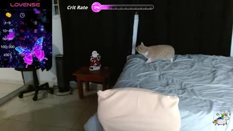 Kitty online show from December 4, 2:03 am