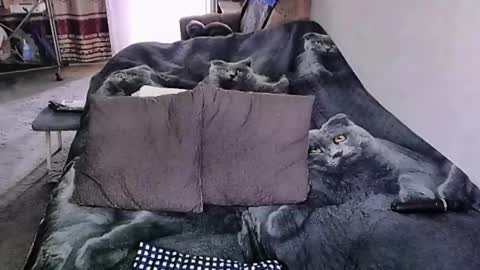 Lana online show from September 30, 3:01 am