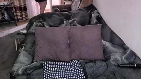 Lana online show from November 20, 4:13 am