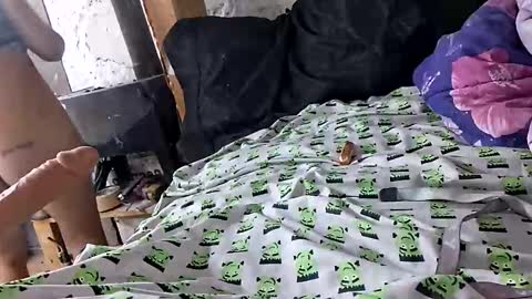 twistedlilpunk online show from December 21, 11:14 am