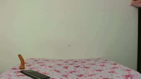 Snapshot of tylor_martinez chatting on February 4, 7:44 pm Tylor Martinez online show from February 4, 7:44 pm