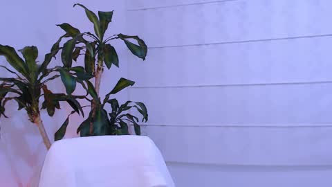 Martina online show from September 17, 2:20 am