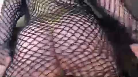 Maxi Mills . My Orgasm is in your hands Private is Open online show from March 7, 3:08 am