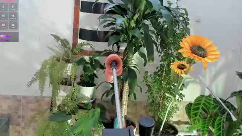 velvet_rosee_ online show from August 7, 1:07 pm