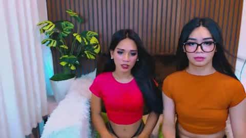 Velvet online show from July 28, 11:17 am