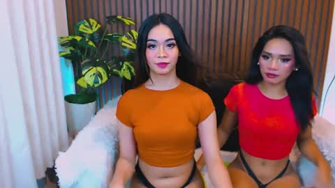 Velvet online show from July 25, 9:38 am
