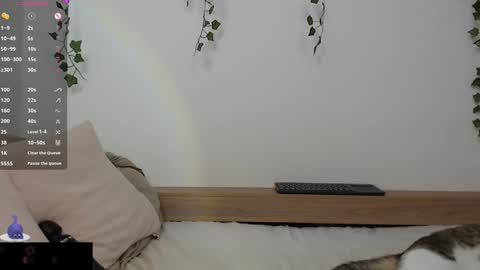 Snapshot of velvetcrystal chatting on January 26, 4:51 am Crystal PVT OPEN online show from January 26, 4:51 am
