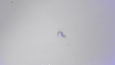 Antonella online show from February 21, 6:36 am