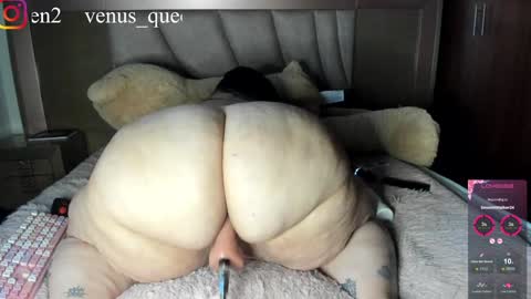 Snapshot of venus_queen_ chatting on January 30, 3:33 am Ali aka venus p online show from January 30, 3:33 am