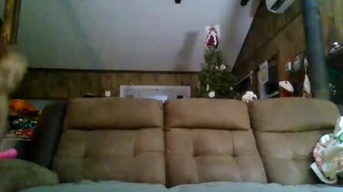 Venus Mayson online show from January 1, 12:21 am