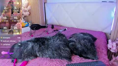 veronica_hill_ online show from June 5, 6:52 am