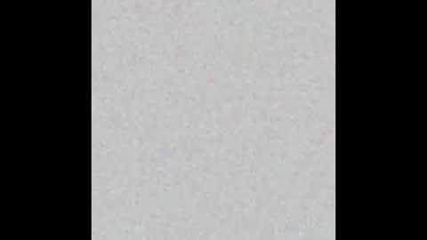 Vero  online show from March 6, 1:03 pm