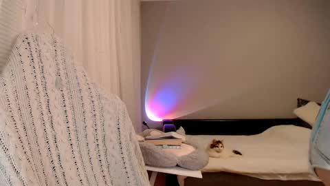 Amelia online show from February 2, 4:43 pm