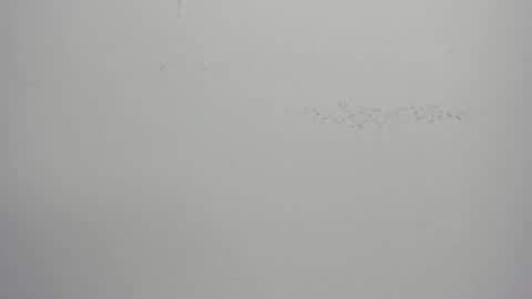 violett_24_ online show from March 1, 11:39 am