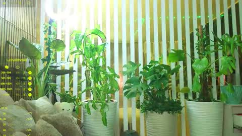 Violetta online show from November 10, 11:44 pm