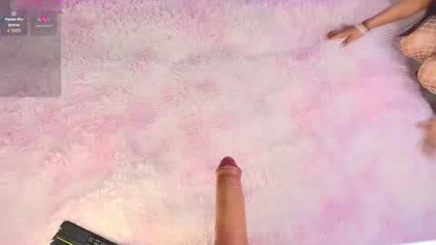 Vivi online show from October 24, 6:31 am