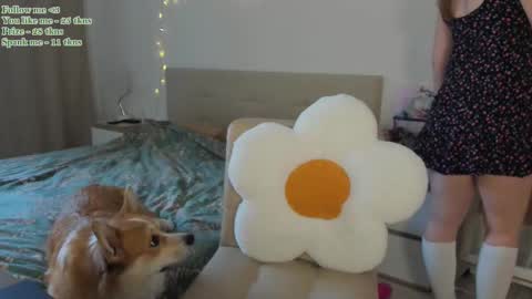 Snapshot of watermelon_sugar_ chatting on February 11, 9:53 am Tess Pls support me with Can we reach 155 my favorite number online show from February 11, 9:53 am