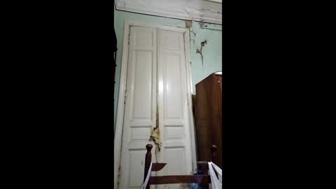 Marina online show from February 25, 7:38 pm