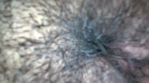 Snapshot of white_sexy_ chatting on September 21, 11:31 am white_sexy_ online show from September 21, 11:31 am