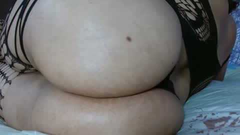 Wild online show from February 28, 3:44 pm