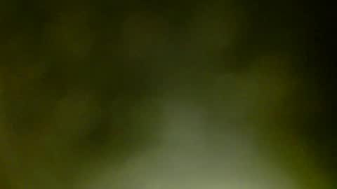 WildPersia online show from May 9, 9:39 pm