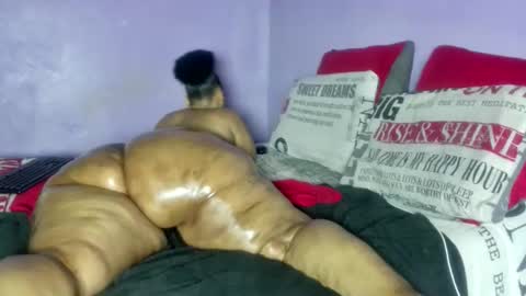 wilmaassylum online show from February 23, 8:36 am