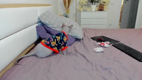 xf33tx online show from February 7, 9:04 pm