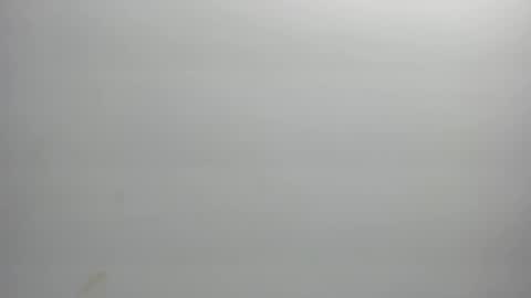 Xime  online show from February 21, 3:07 am