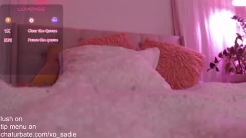 Xo Sadie online show from June 16, 7:31 am